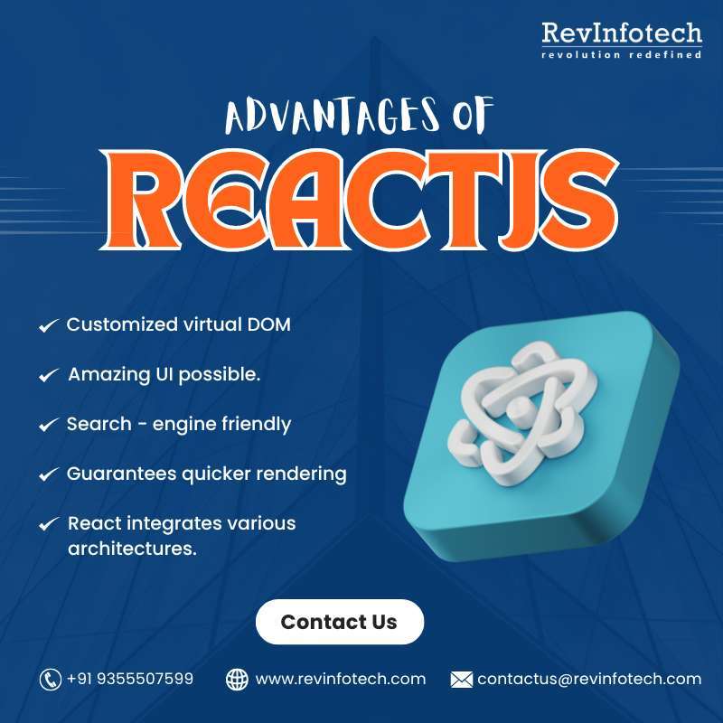 Revinfotech Inc