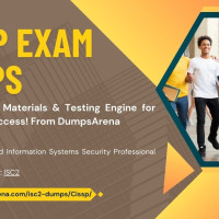 CISSP Exam Avatar