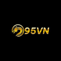 95VN Avatar