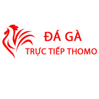 Đá Gà Trực Tiếp Thomo Hôm Nay