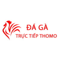 Đá Gà Trực Tiếp Thomo Hôm Nay