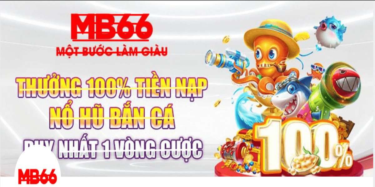 MB66top1 net