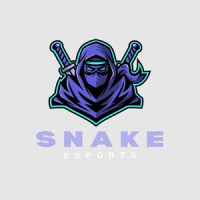 Streamer Snake Avatar