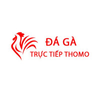 Đá Gà Trực Tiếp Thomo Hôm Nay Avatar