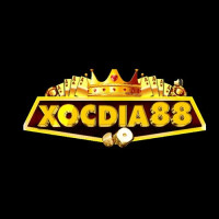 xocdia 88to