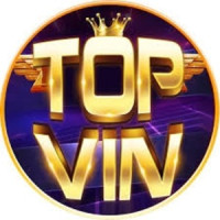 TOPVIN Avatar