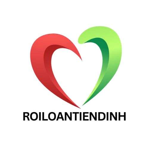 ROILOANTIENDINH VN