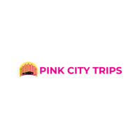 Pink City Trips Avatar