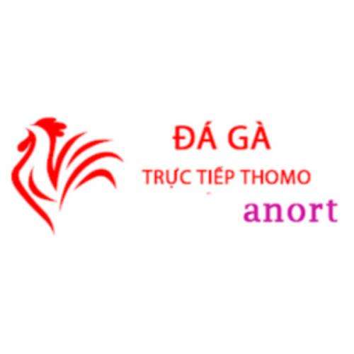 Đá Gà Trực Tiếp Thomo Hôm Nay