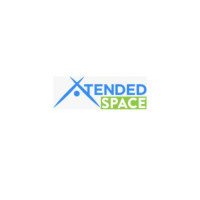 Xtended Space Space Avatar