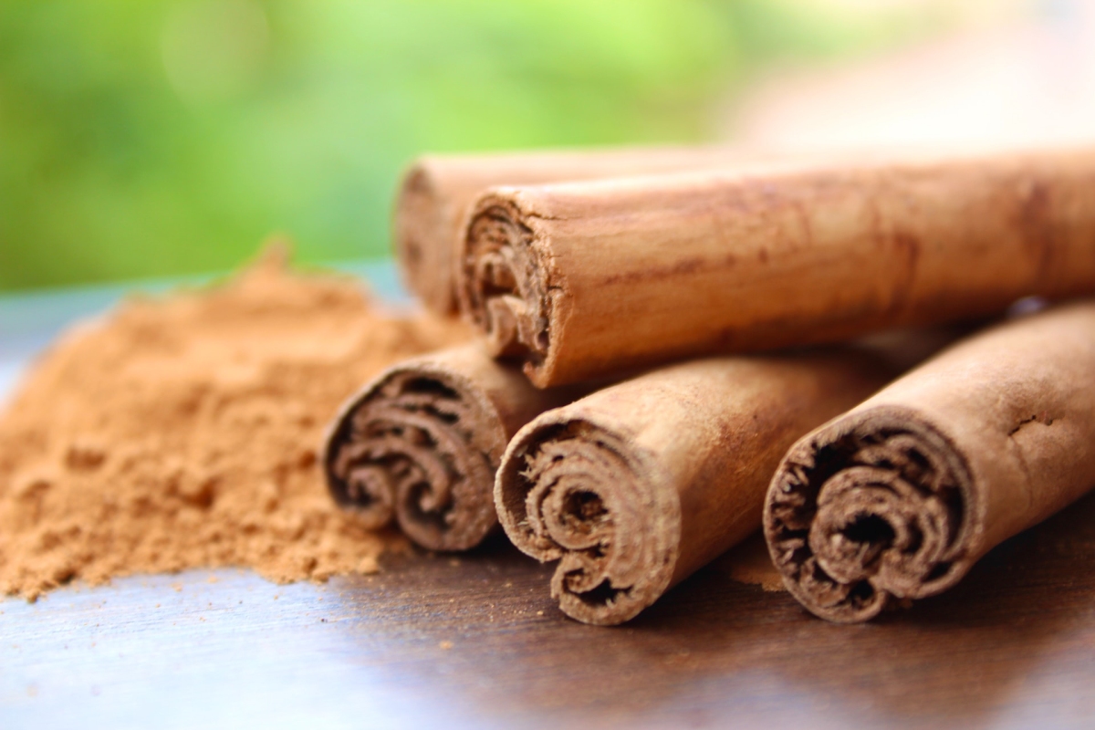 Leading Cinnamon Exporter: A Global Leader in Quality Cinnamon Supply – Robust Madagascar Blogs