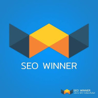 Wynnsoft SEO Avatar