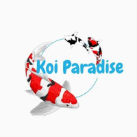 Koi Paradise Avatar