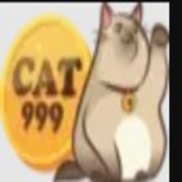 cat999 kim