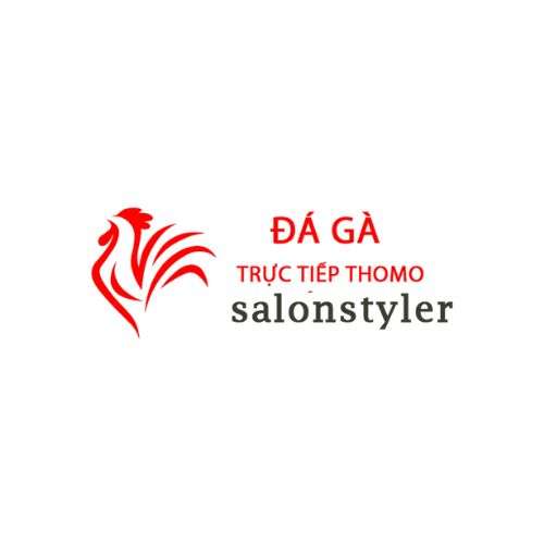 Đá Gà Trực Tiếp Thomo Hôm Nay