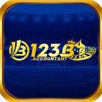 123baccountant accountant Avatar