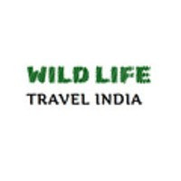 Wildlife Travel