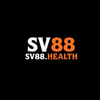 SV 88