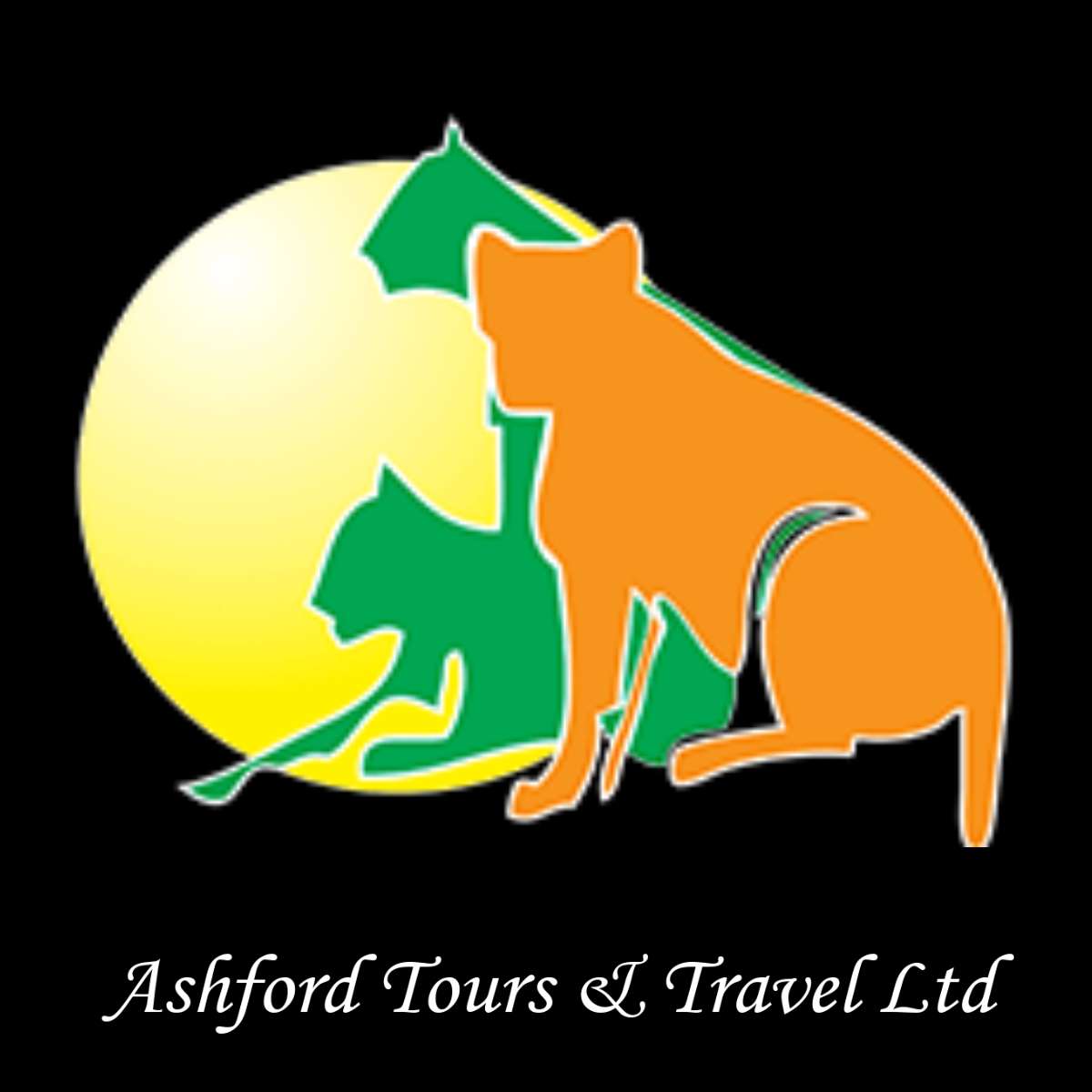 Ashford Tours Tours