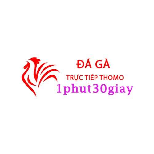 Đá Gà Trực Tiếp Thomo Hôm Nay