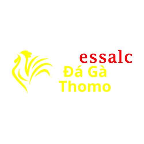 Đá Gà Trực Tiếp Thomo