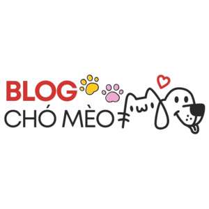 blog chó mèo