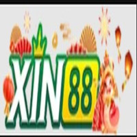 Xin88 Avatar