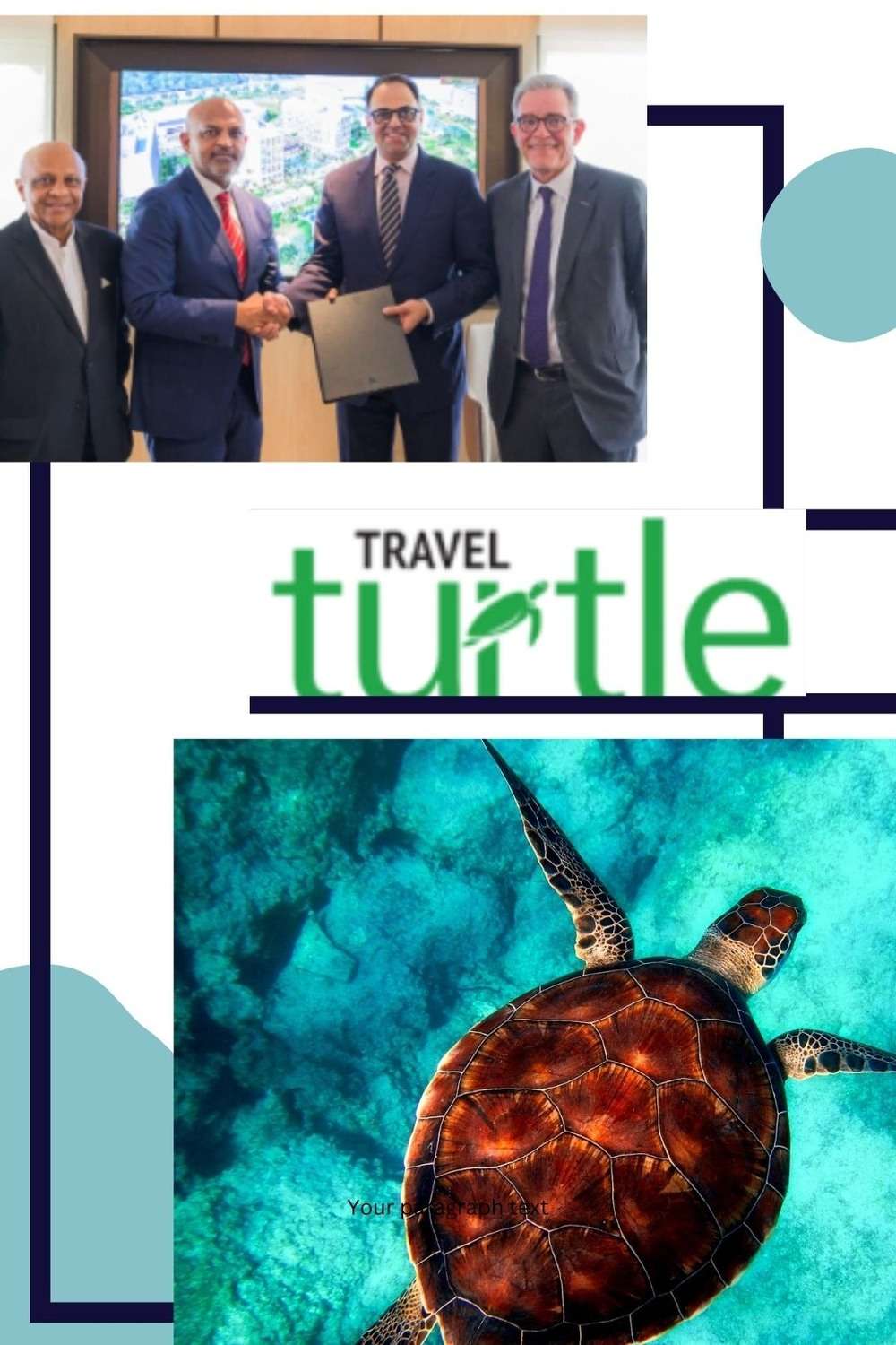 Travel Turtle Turtle