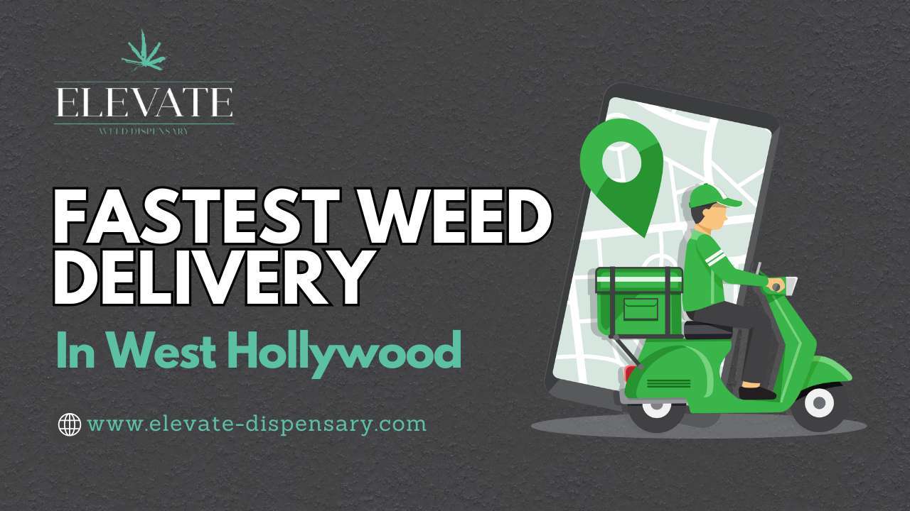 Elevate Weed Dispensary