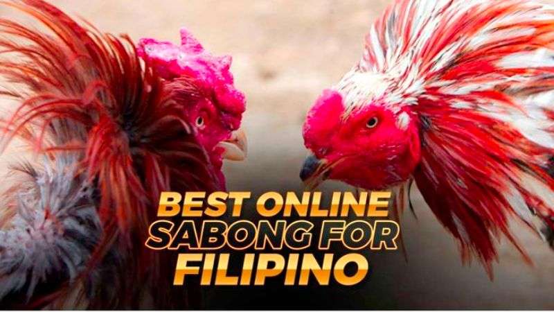 Sabong International Biz