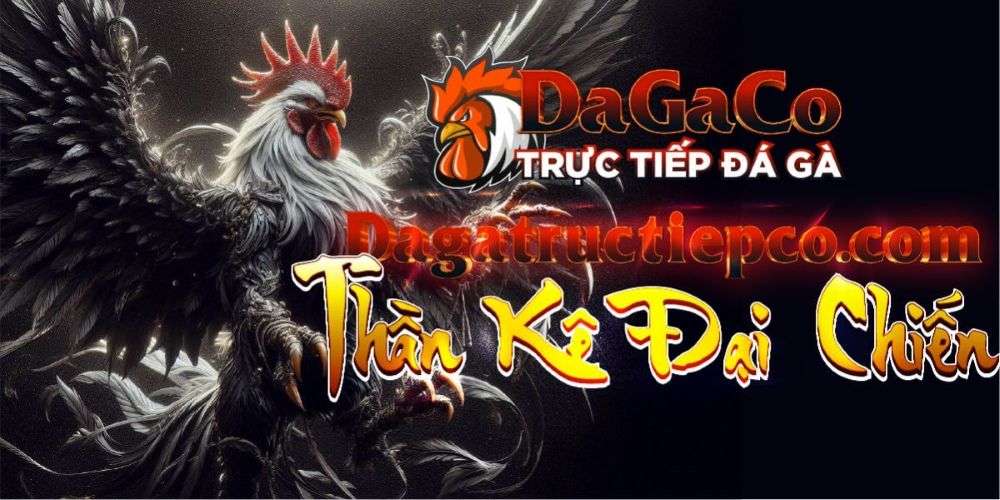 Đá gà trực tiếp DagaCO