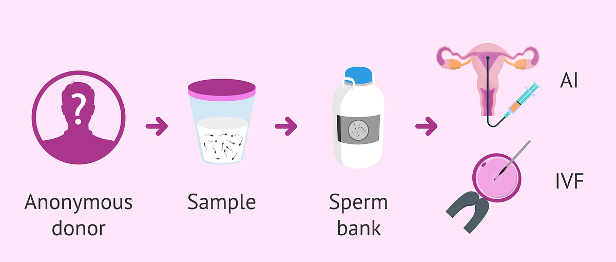 Sperm Freezing Process: A Comprehensive Guide | by Blossoms Hospital | Mar, 2025 | Medium