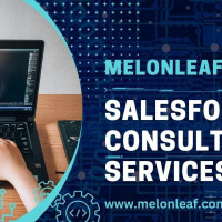 Melonleaf Consulting Avatar