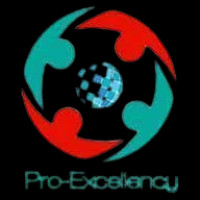 proexcellency Solutions Avatar