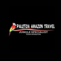 Palotoa Amazon Travel Avatar