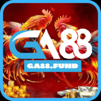 GA 88 Avatar