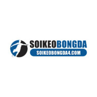 Soikeobongda4 Com Avatar