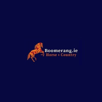 boomerang Avatar