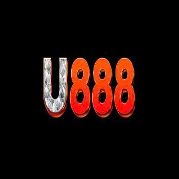 U888 camcom