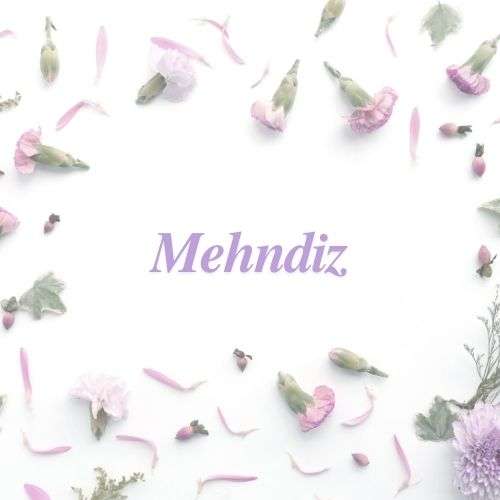 Mehndiz Net