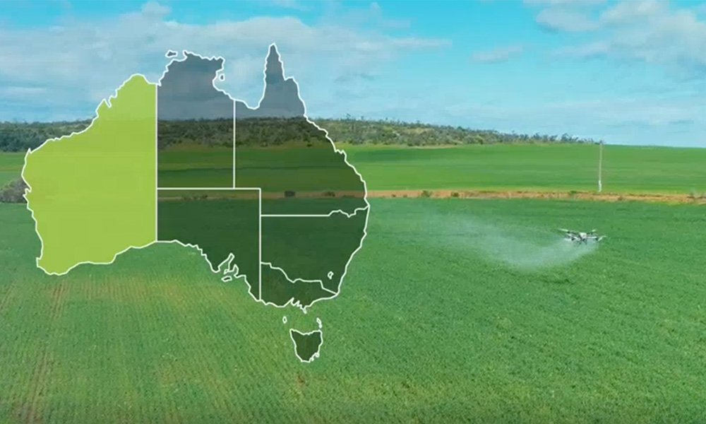 How Drones and Planes Are Revolutionising Farming in Western Australia