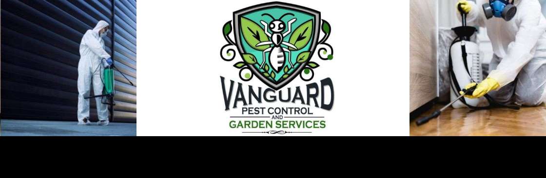 Vanguard Eco Solutions Cover