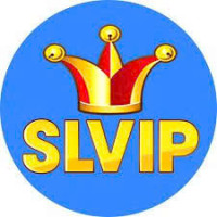 Slvip Avatar