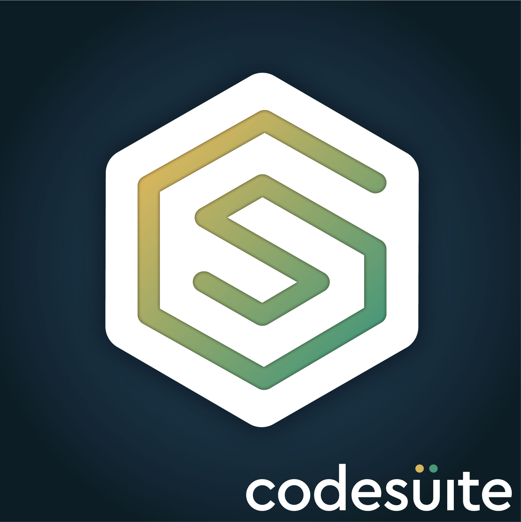 Robust Quality Assurance Services | CodeSuite