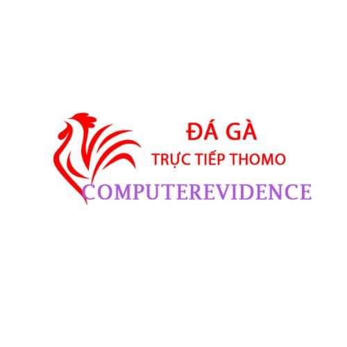 Đá Gà Trực Tiếp Thomo